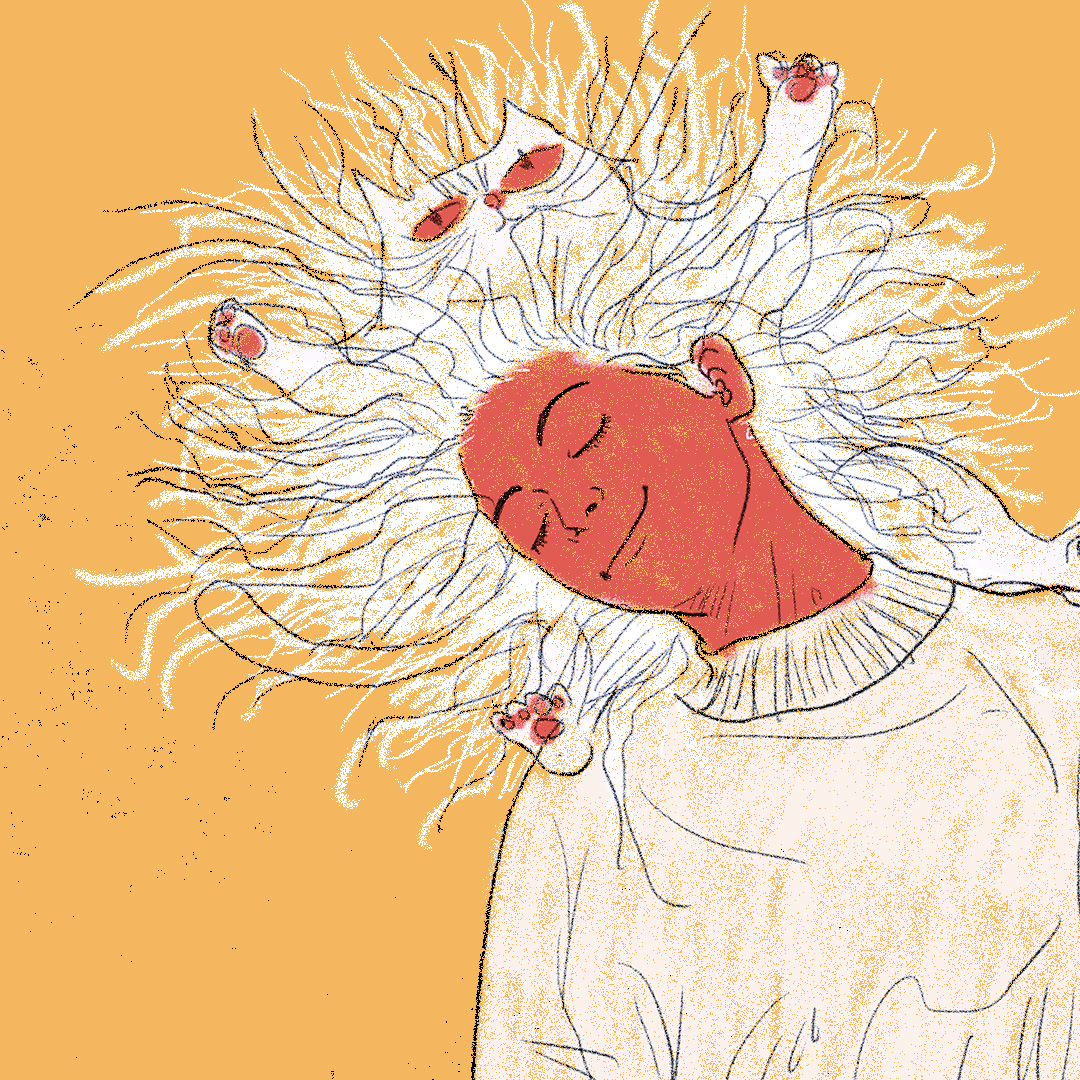Hair Cat Illustration