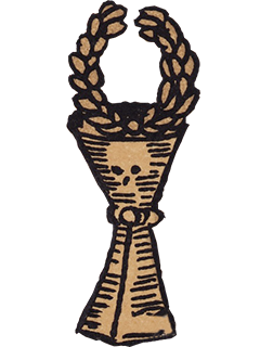 Cup 6